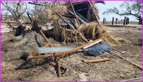 Get Our Updates About Leslie Griffith Published On MyNewsGh